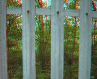 Fence 1